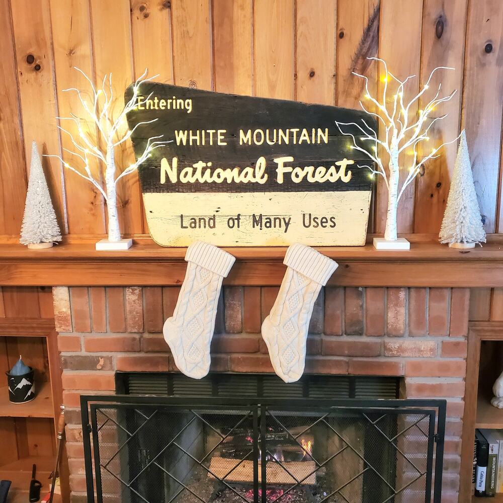 Cone Pine Trees Christmas Holiday Winter Decor Set of 2 White - Picture 3 of 3